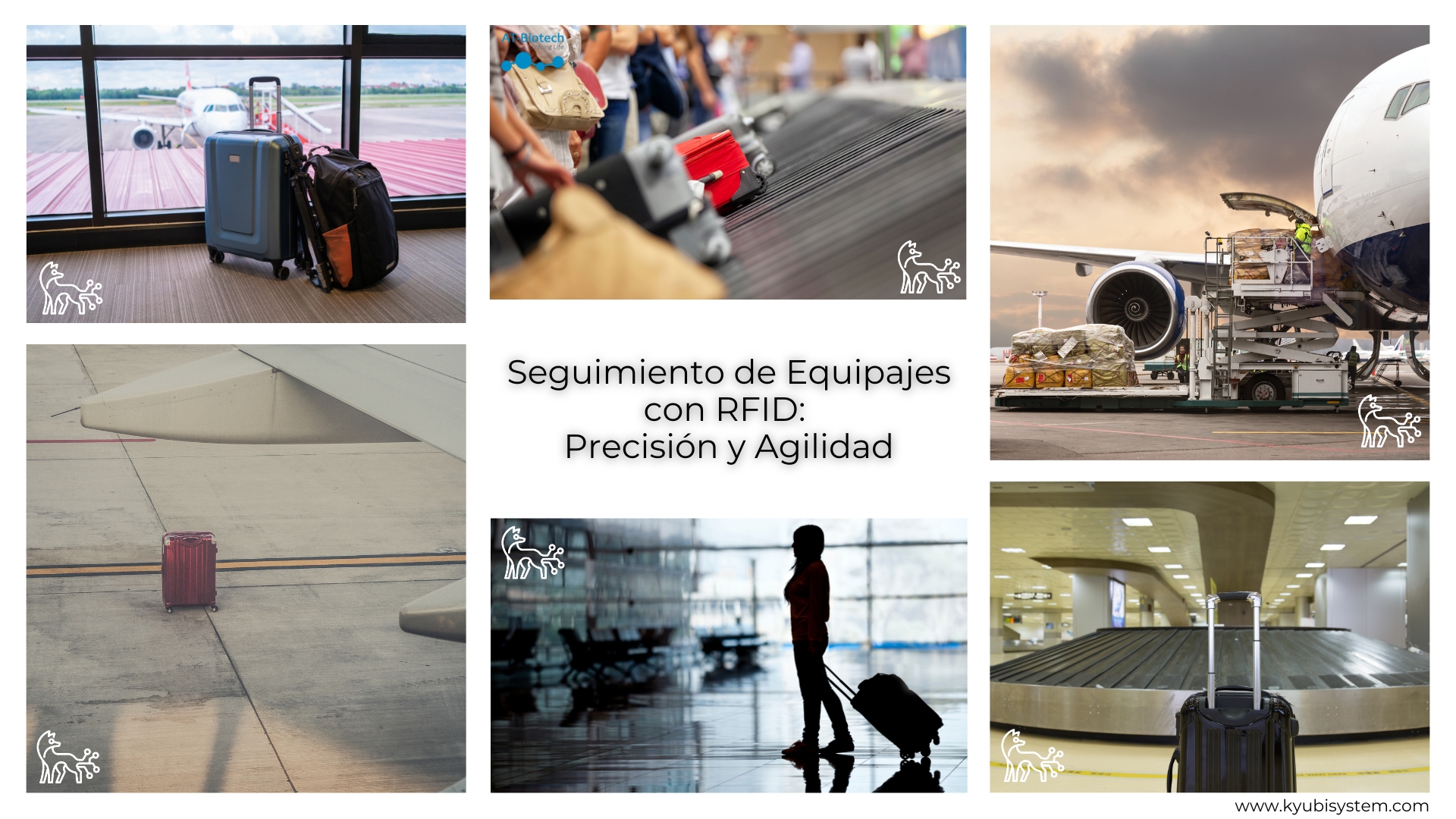 Seguimiento de Equipajes