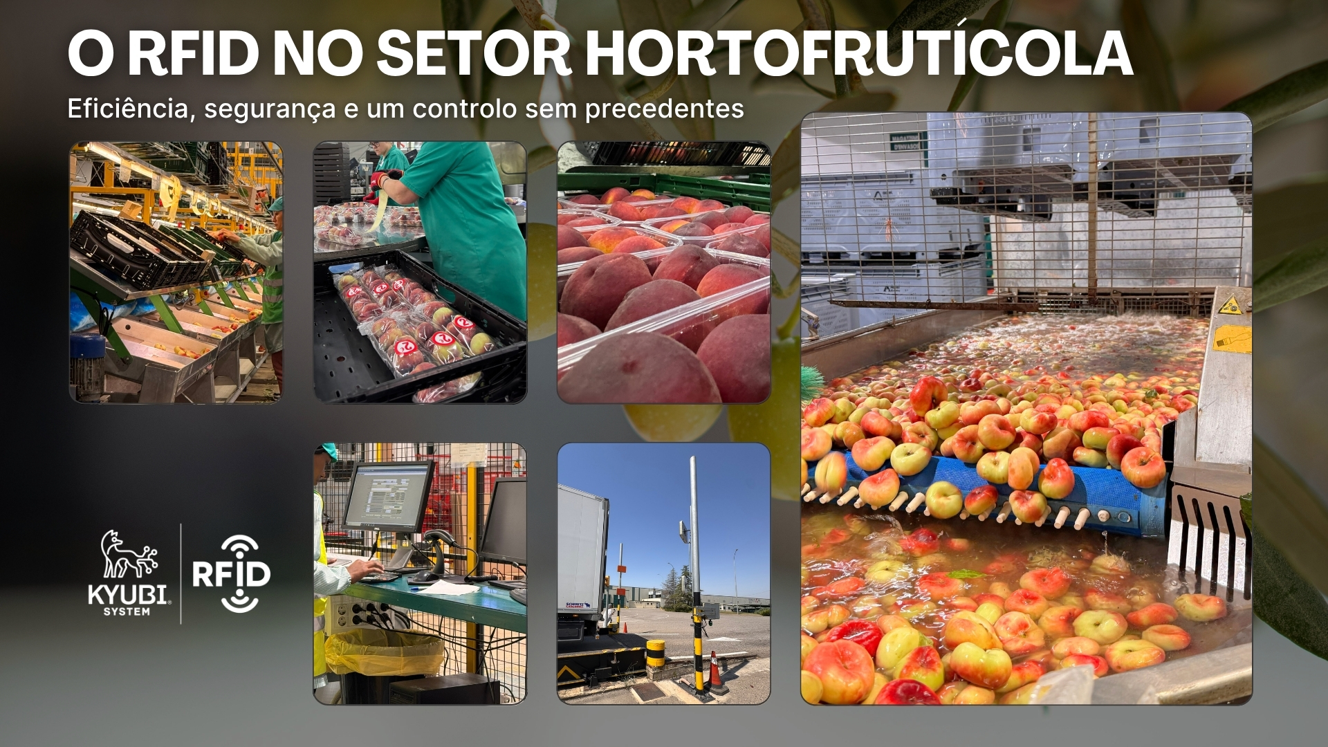 Galería hortofrutícola ESP