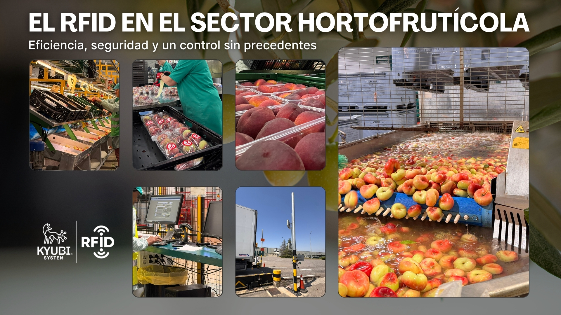 Galería hortofrutícola ESP
