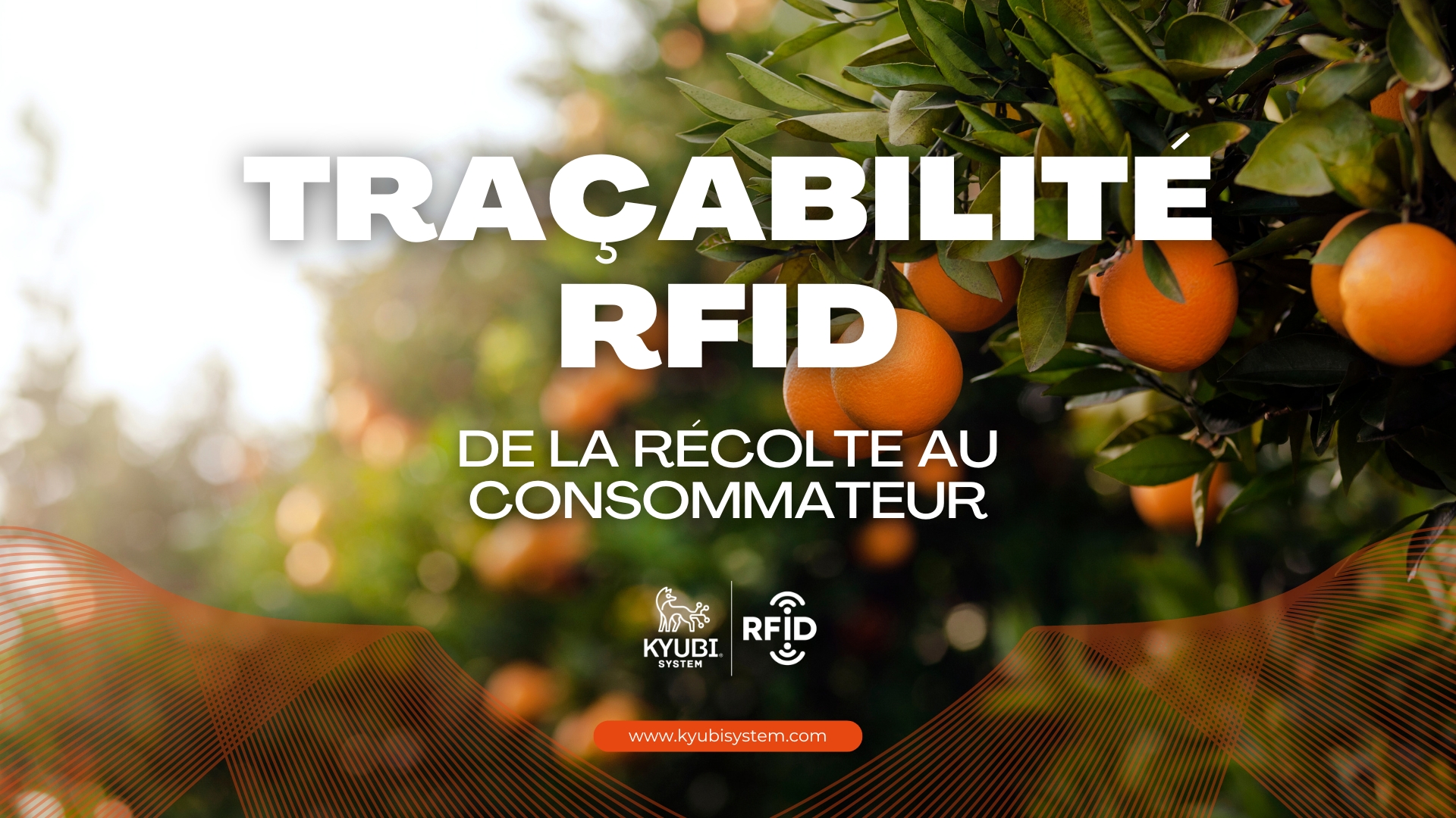 Slide-principal-FR