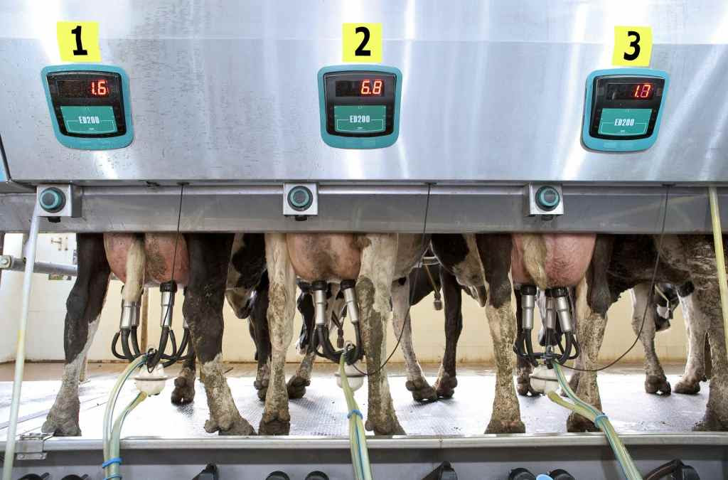 productos Lacteos Sector alimentacion1