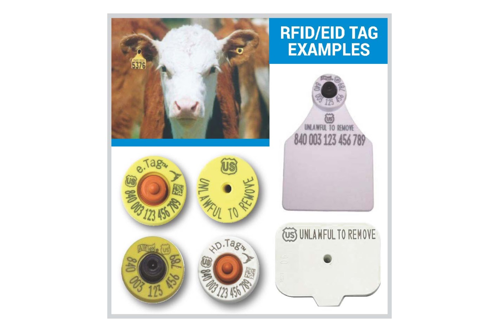 productos Lacteos Sector alimentacion2